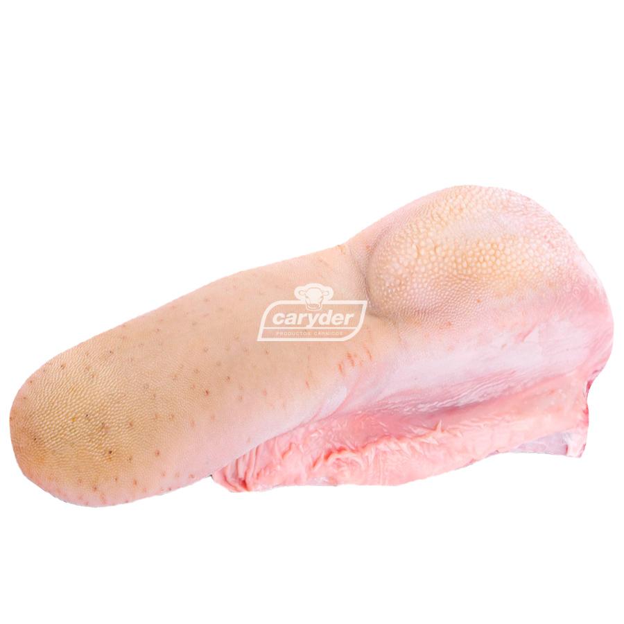 Lengua
